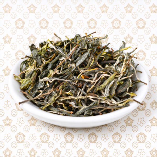 20260923143256530d54120 Mulan Tea Story · Guafengzhai Ancient Tree